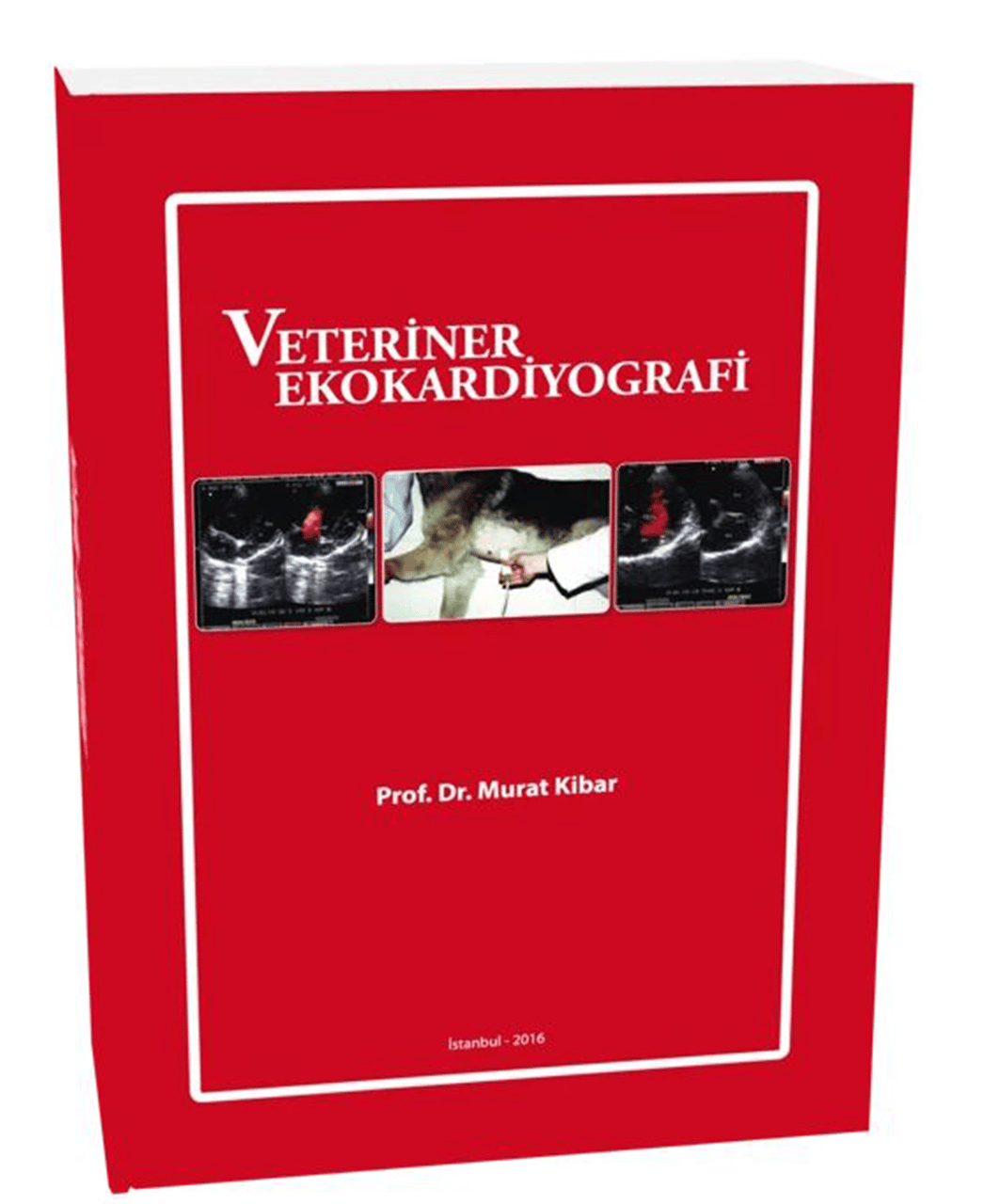 Veteriner Ekokardiyografi