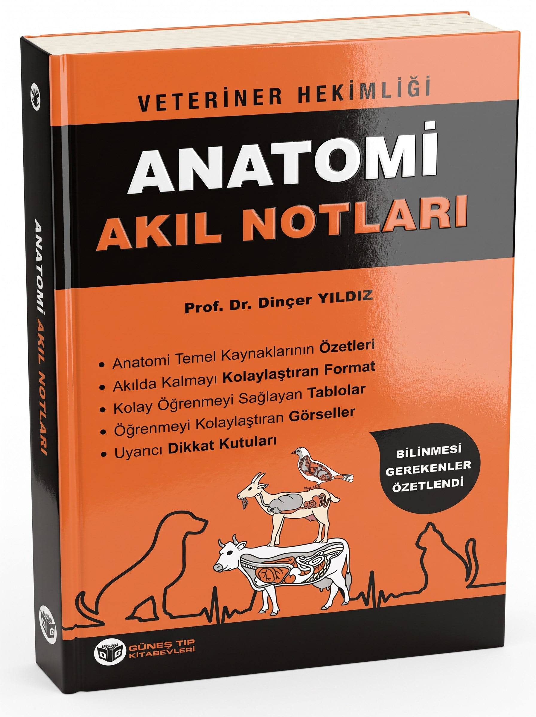 Veteriner Hekimliği Anatomi Akıl Notları