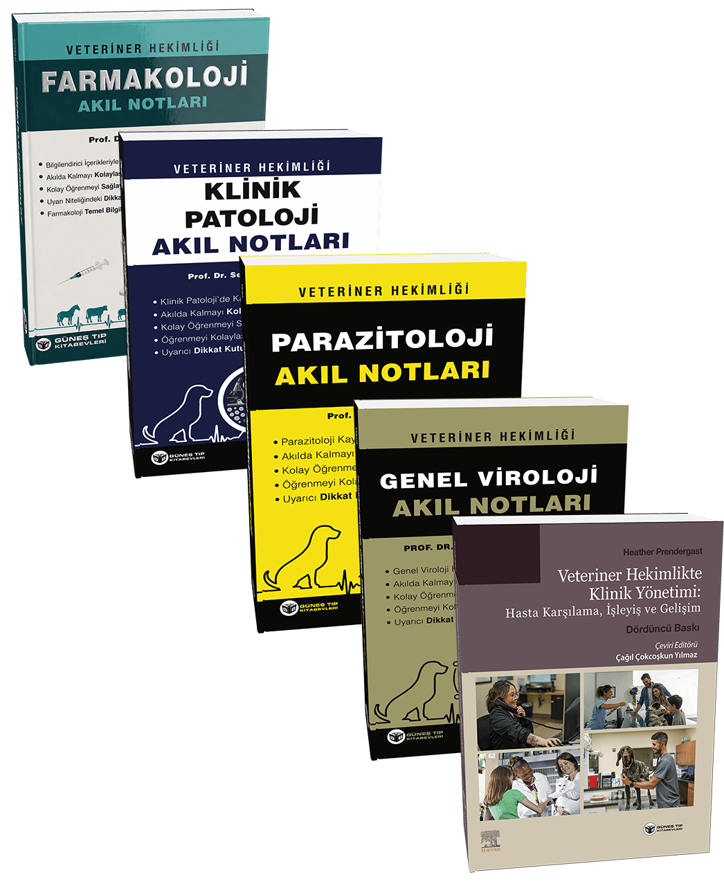 Veterinerlik 3. Sınıflar Kliniğe Geçiş Seti