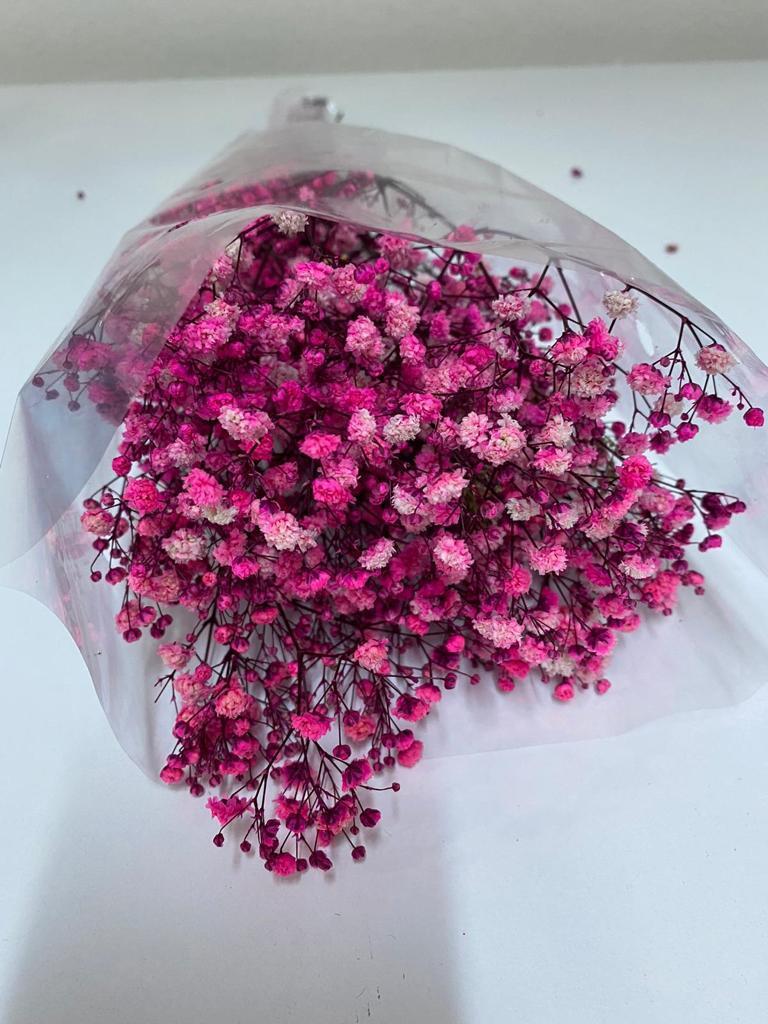 Pembe Şoklanmış Cipso
