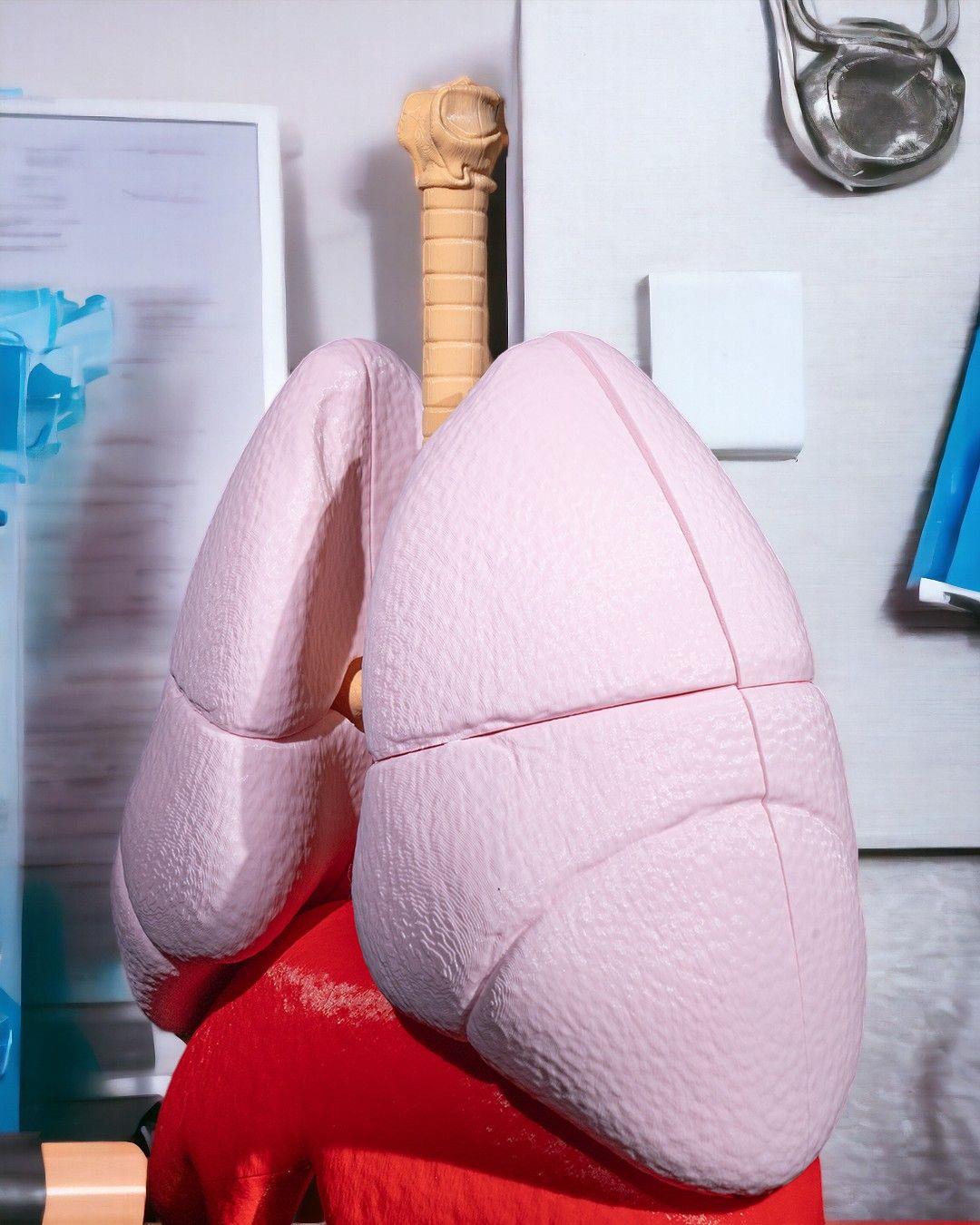 akciger-anatomik-model-c9-4be.jpg
