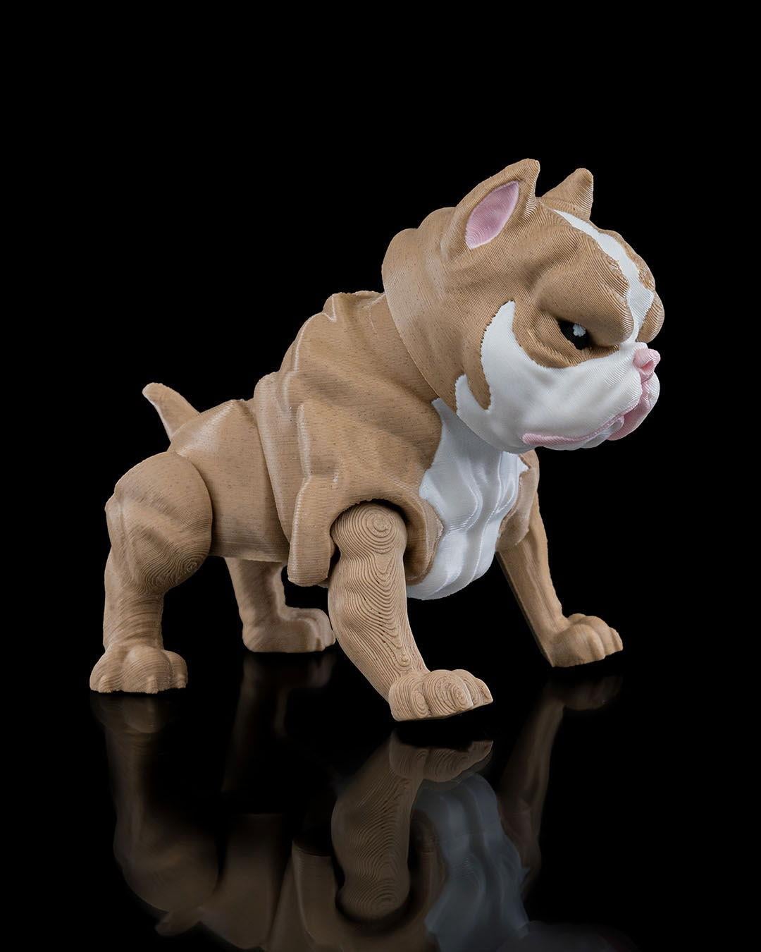 american-bully-kopek-figuru-4b68-9.jpg