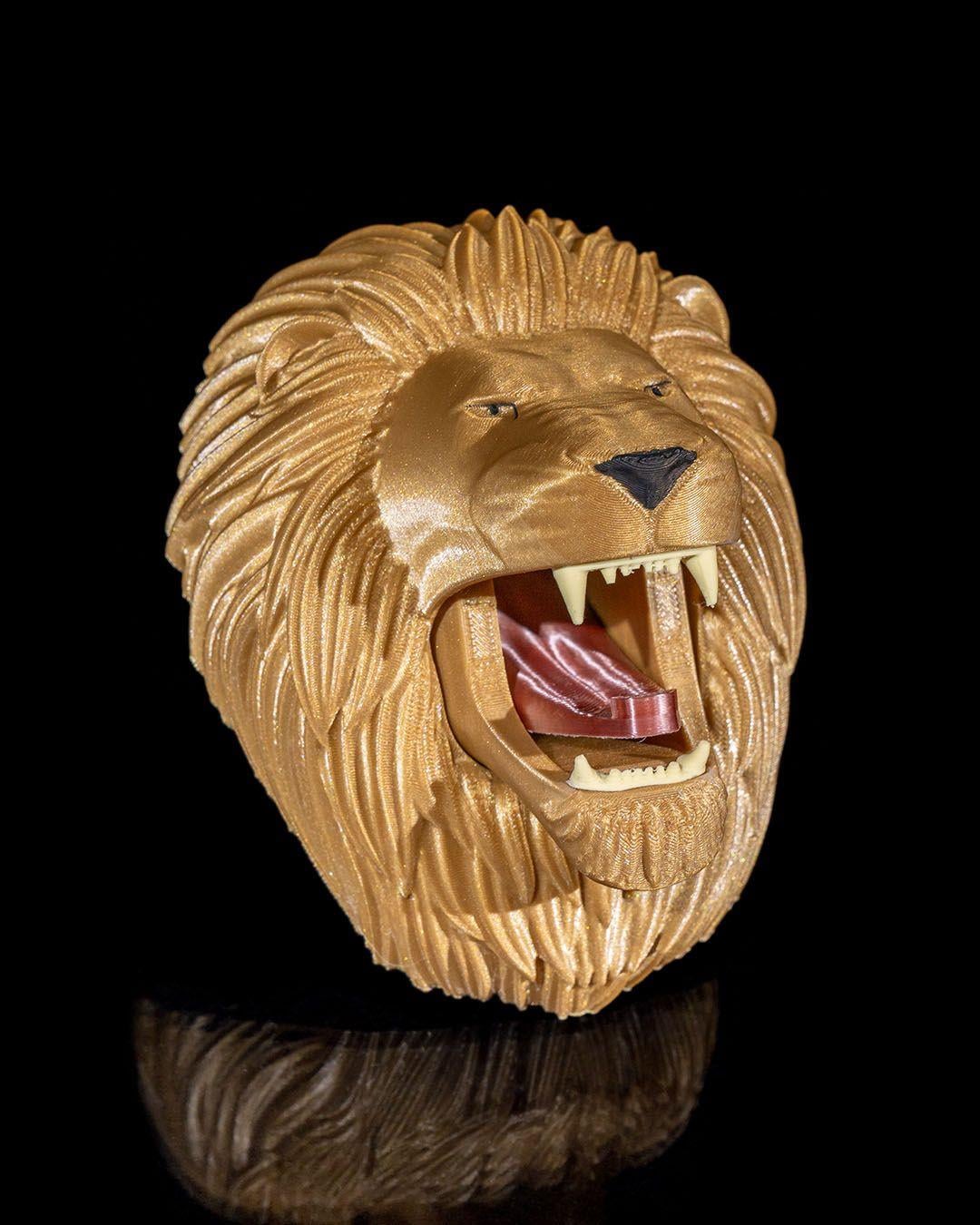 aslan-askilik-8-4145.jpg