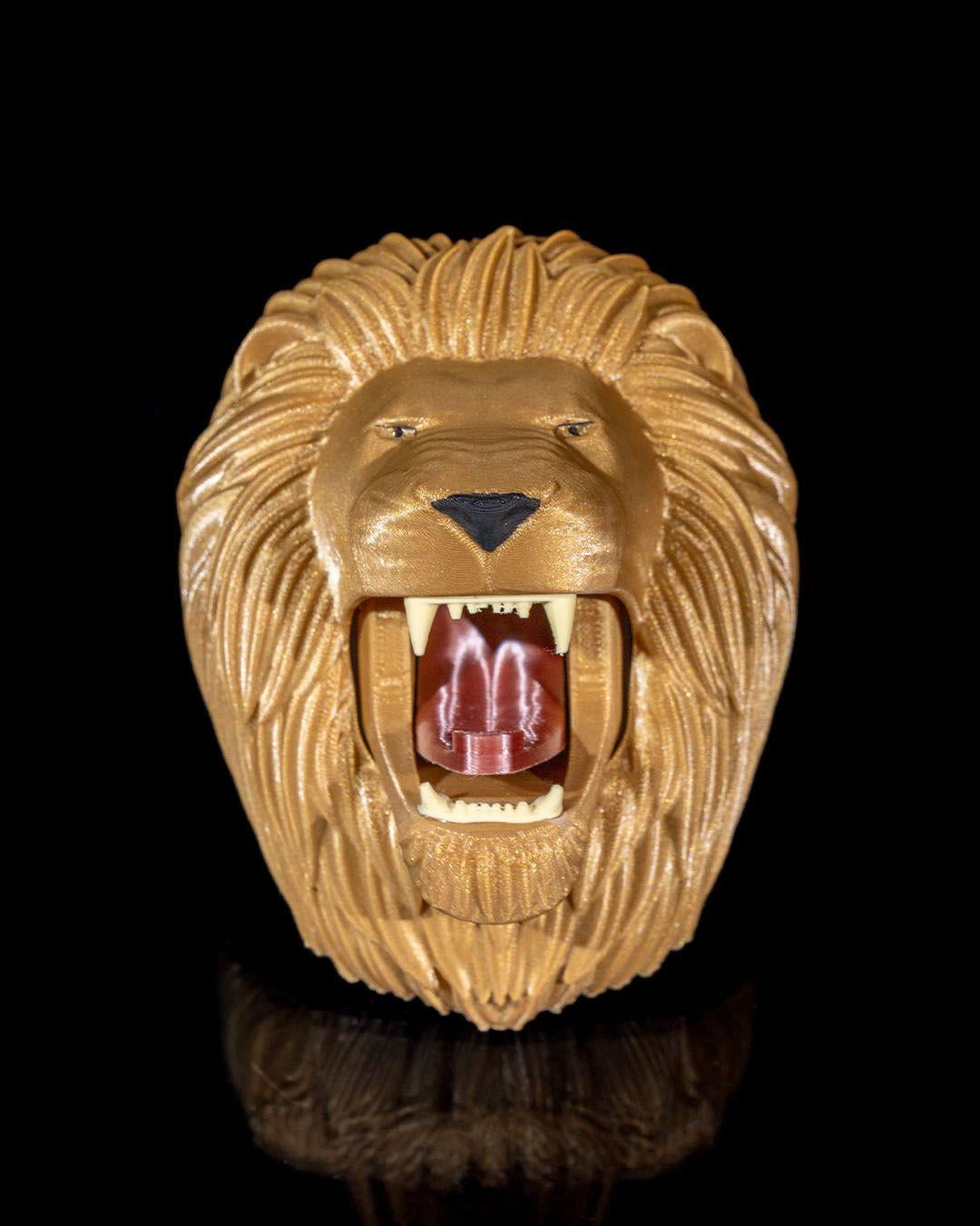 aslan-askilik-d86-41.jpg