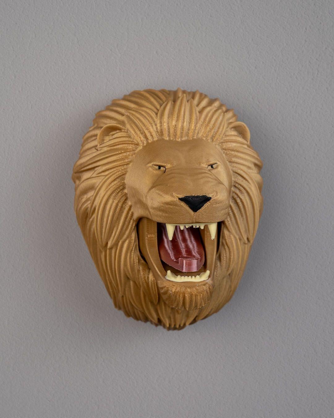 aslan-askilik-f1e112.jpg