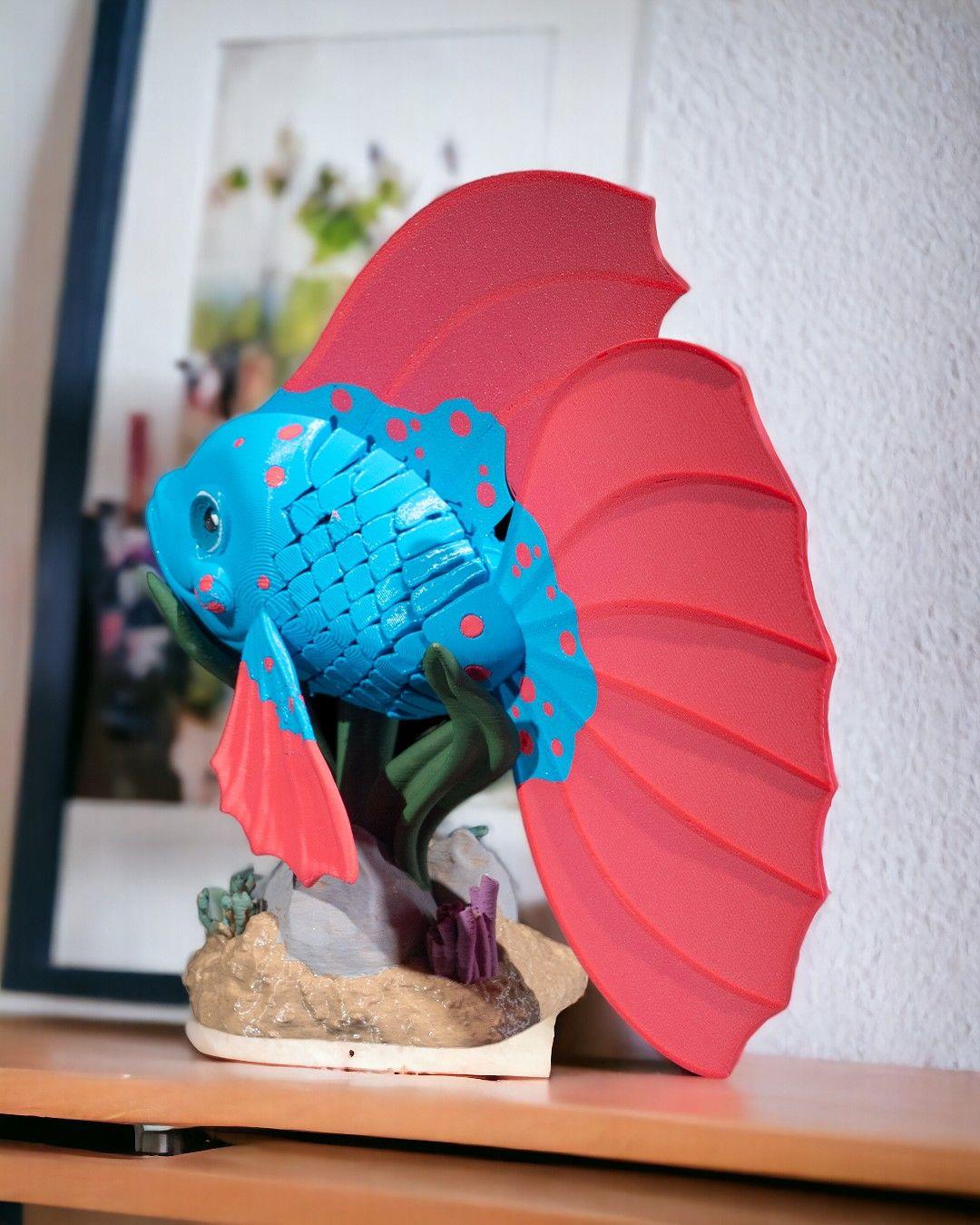 bella-betta-baligi--1cc7f.jpg