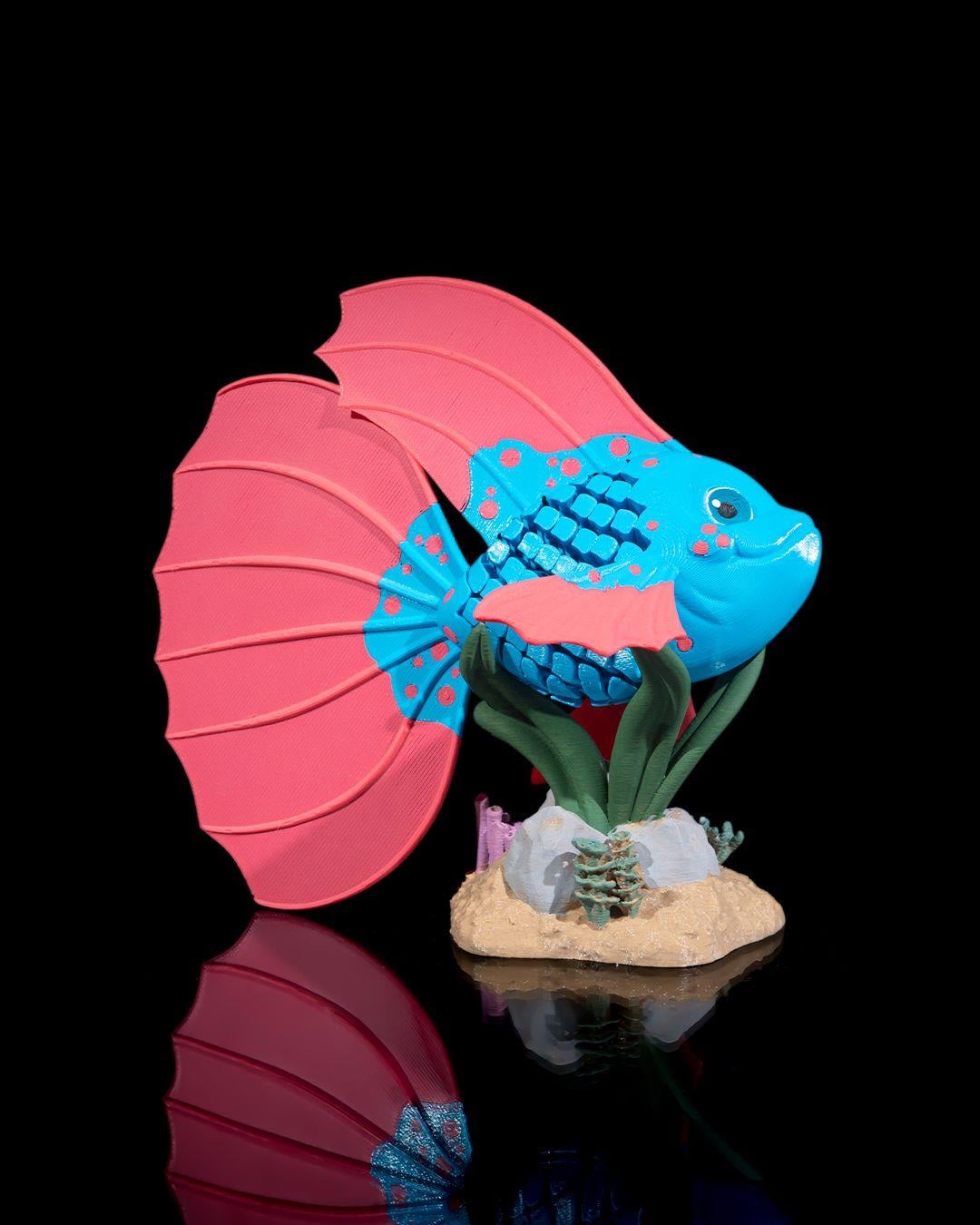 bella-betta-baligi-0822d4.jpg