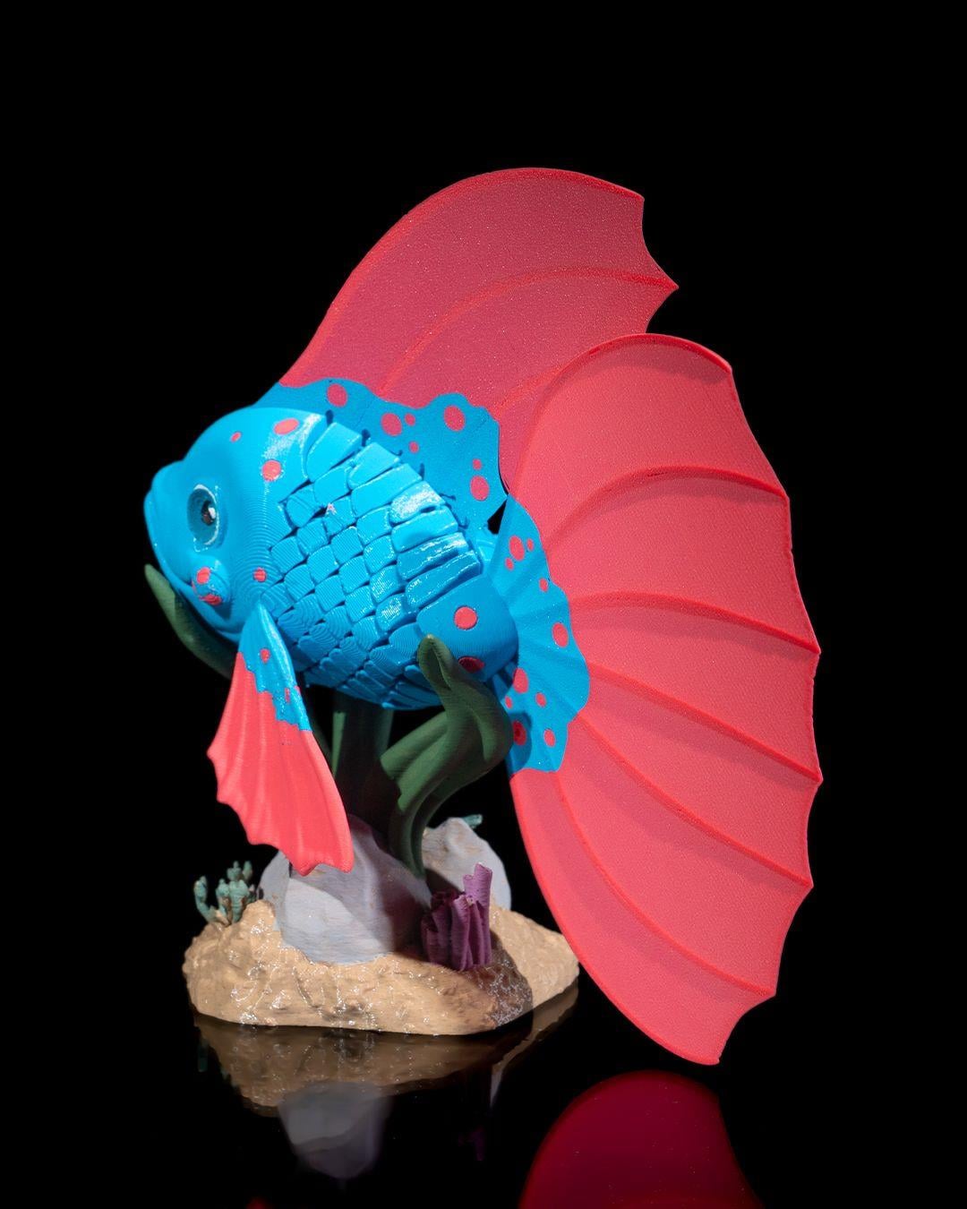 bella-betta-baligi-d8-e31.jpg