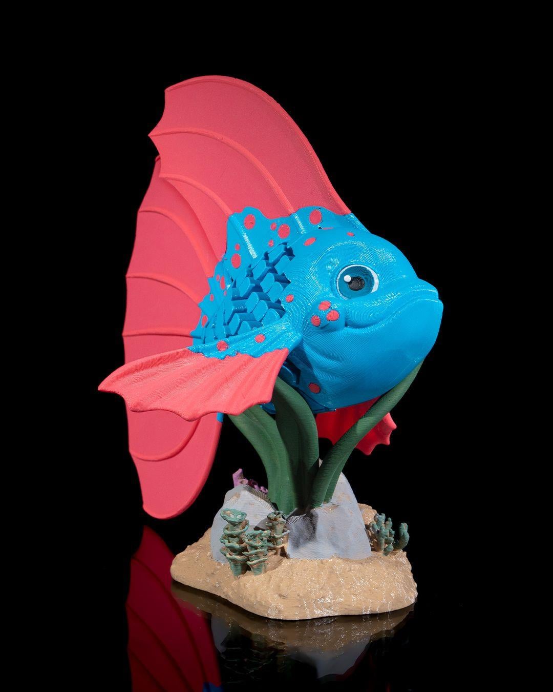 bella-betta-baligi-f9d-87.jpg
