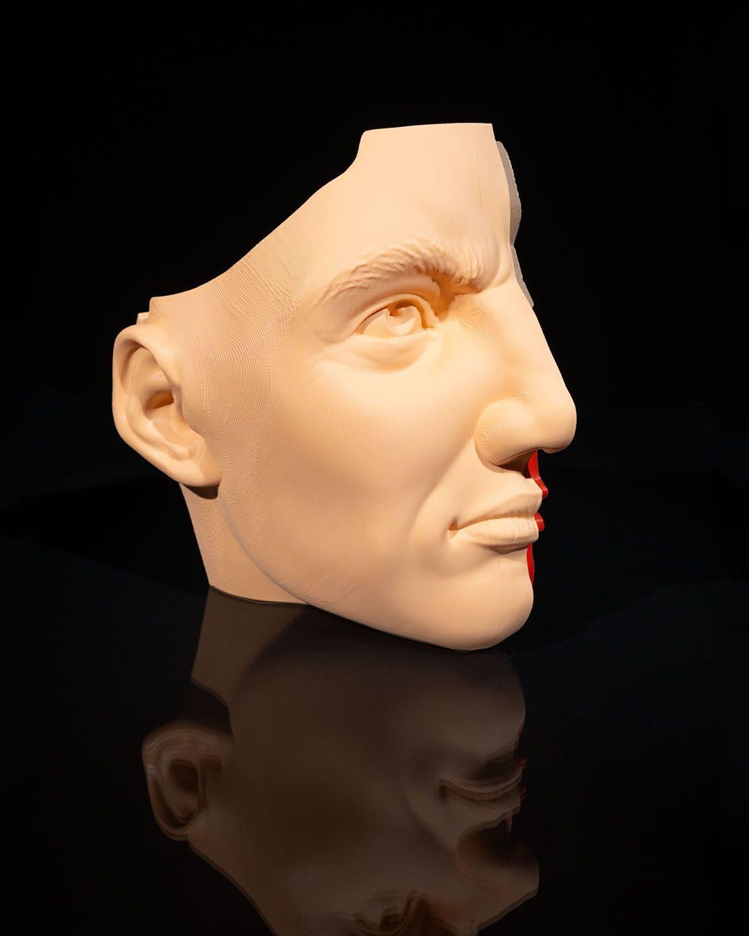 burun-ve-sinus-modeli-cc7ddb.jpg