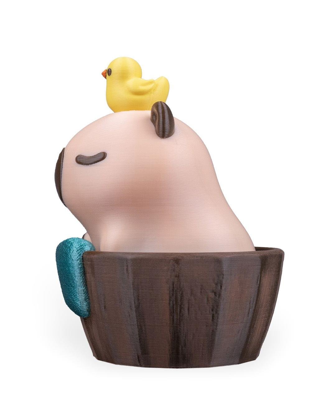 capybathing-aksesuar-2d-e6a.jpg