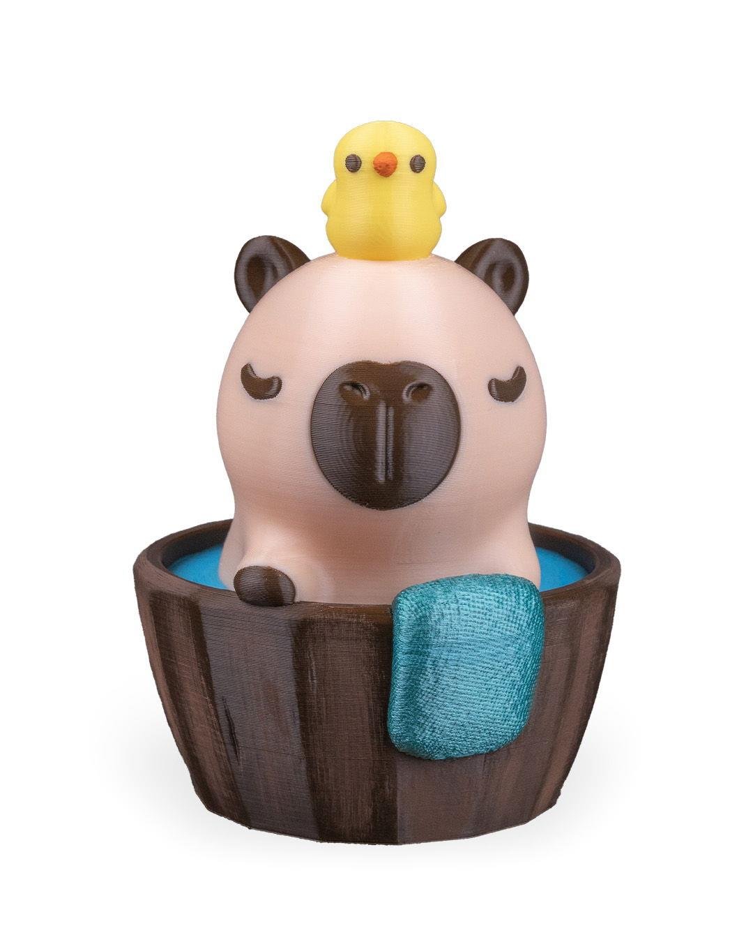 capybathing-aksesuar-b94f-a.jpg