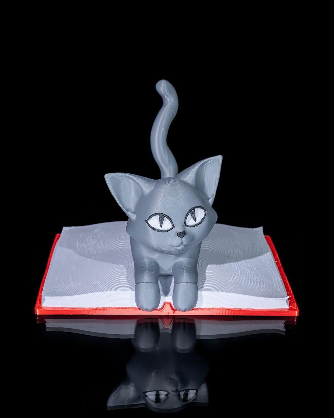 cattus-librum-dekoru--427a-.jpg