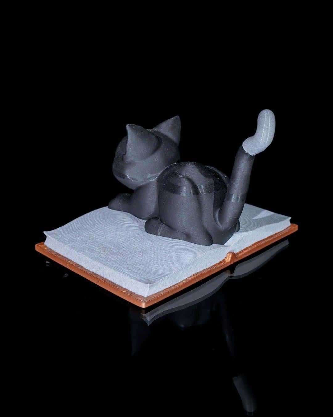 cattus-librum-dekoru-3c44b2.jpg