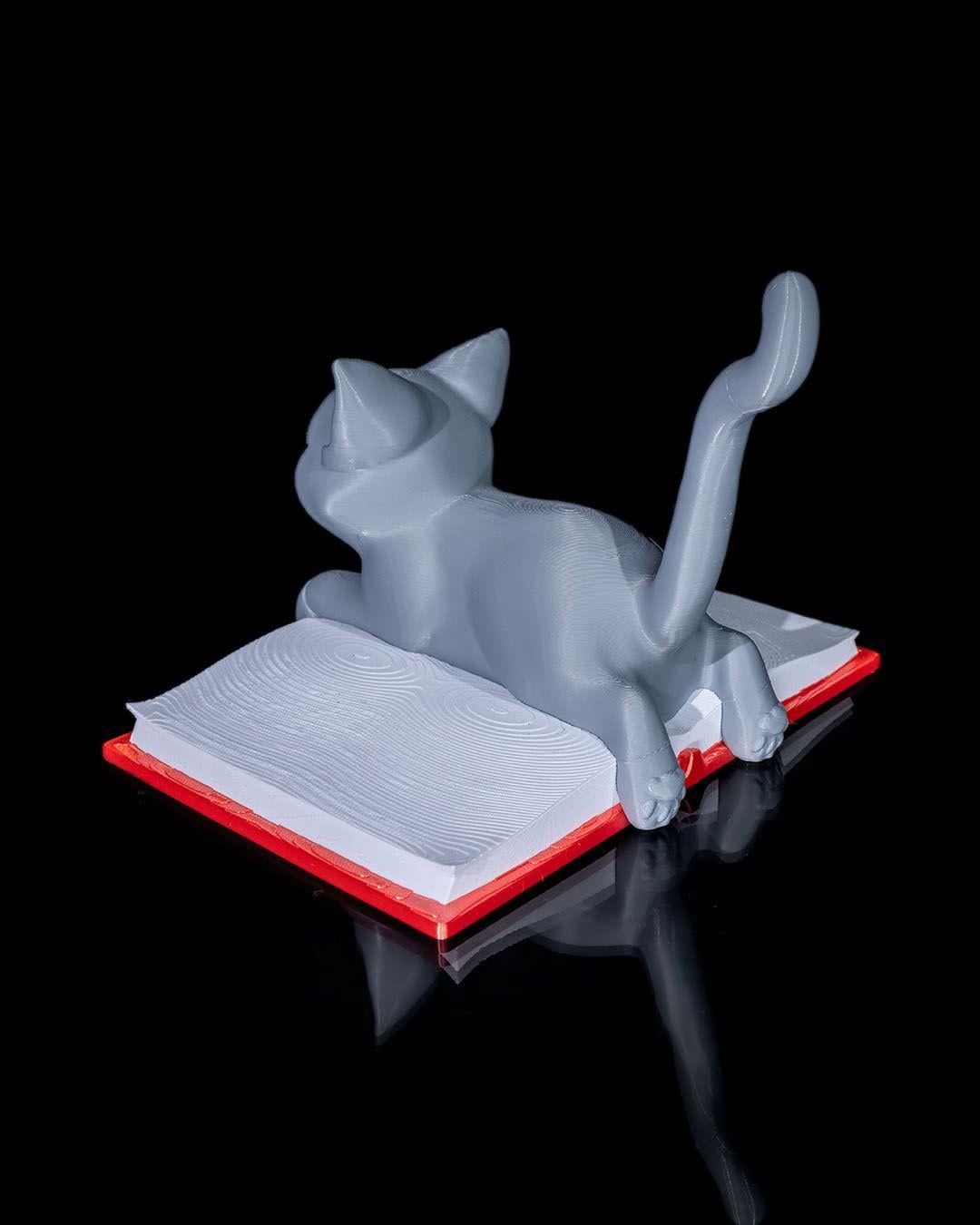 cattus-librum-dekoru-7b733d.jpg