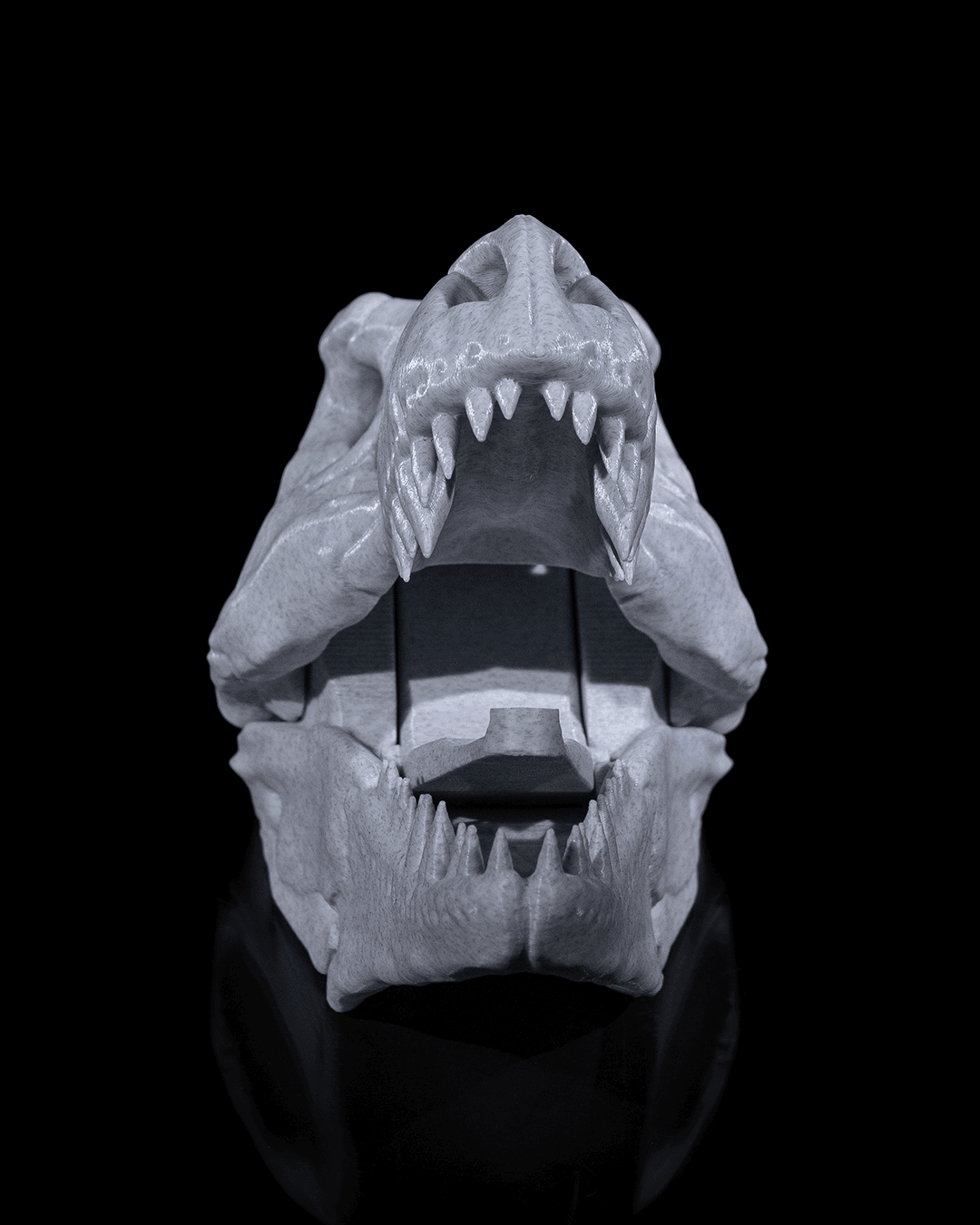ceketimi-tut-t-rex--bf96-.png