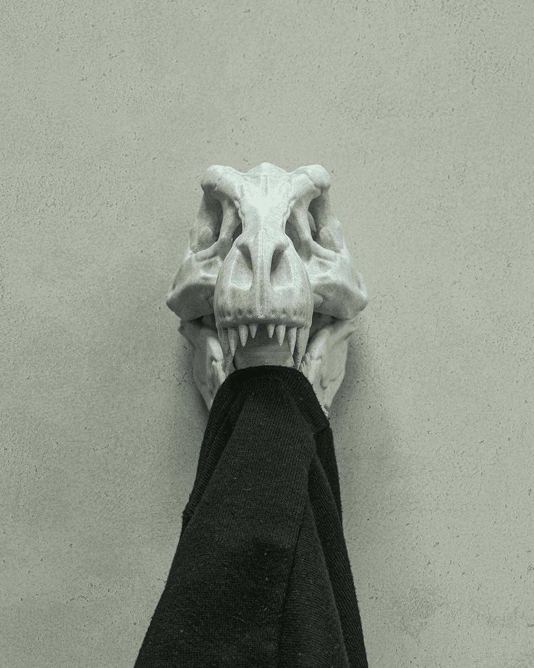ceketimi-tut-t-rex-f-4aac.png