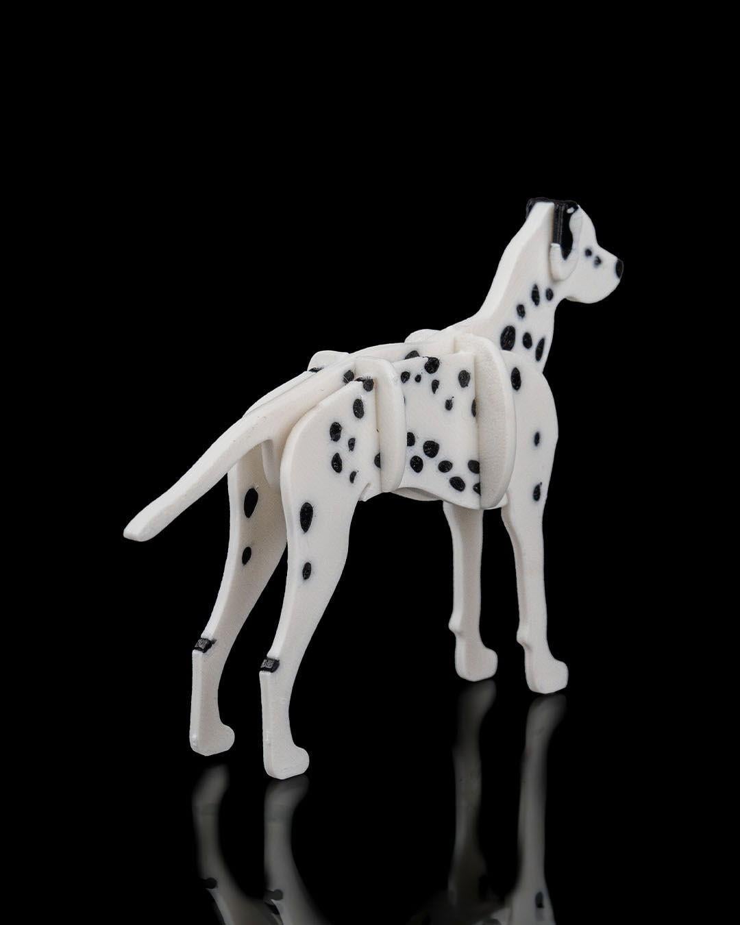dalmacyali-kit-kart-dalmatian-kit-card-2f-bda.jpg