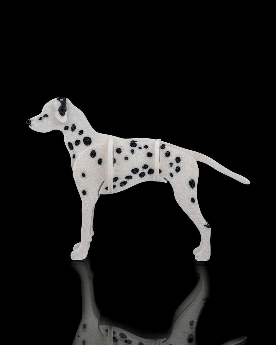dalmacyali-kit-kart-dalmatian-kit-card-d6407b.jpg
