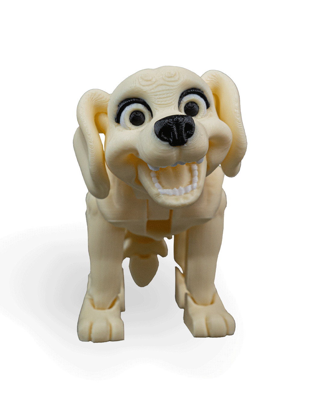 darla-the-labrador-aksesuar--0be36.png