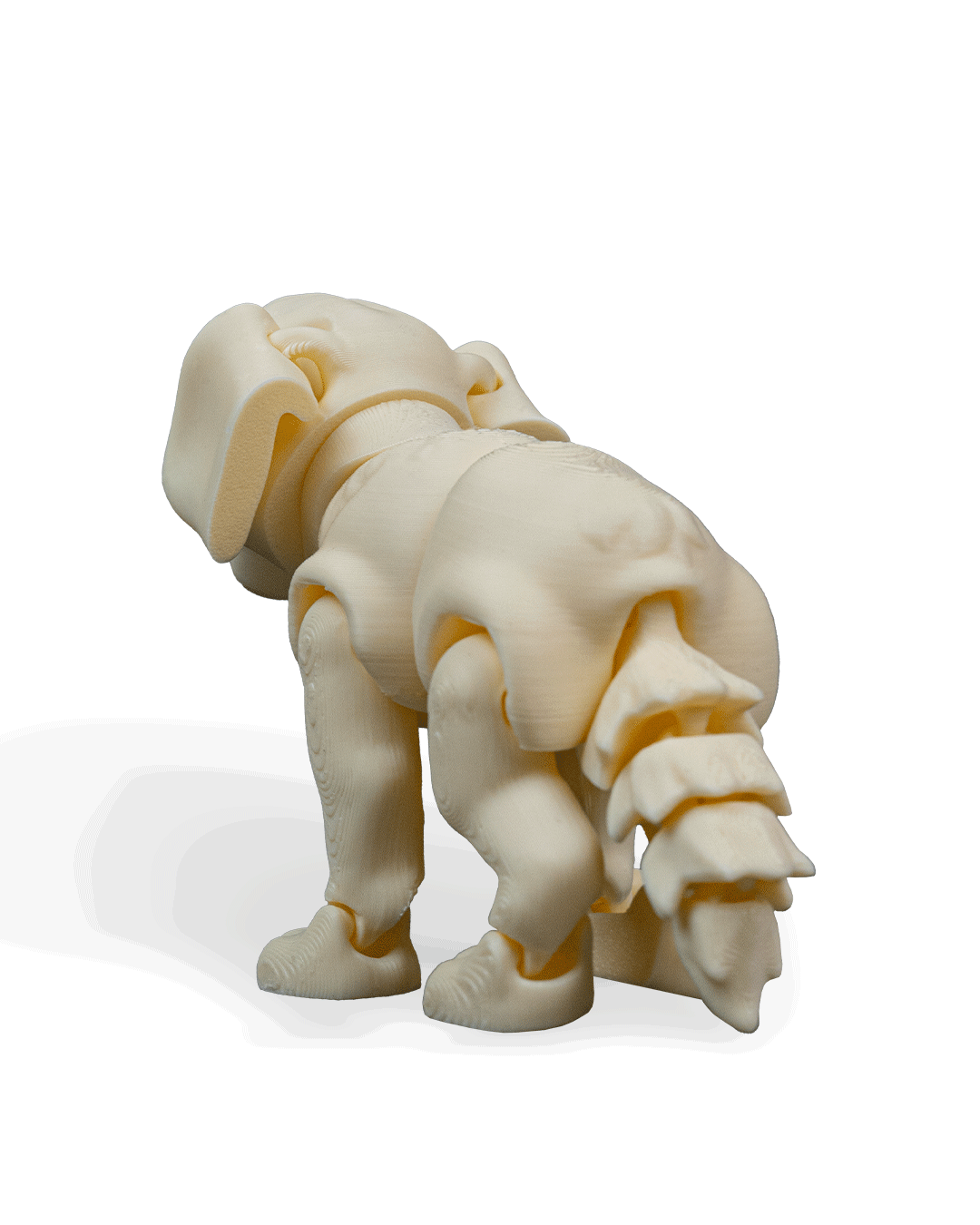 darla-the-labrador-aksesuar--4116-.png