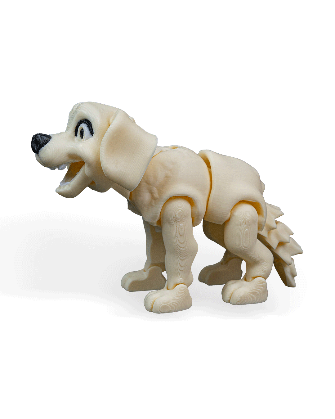 darla-the-labrador-aksesuar--b83f-.png