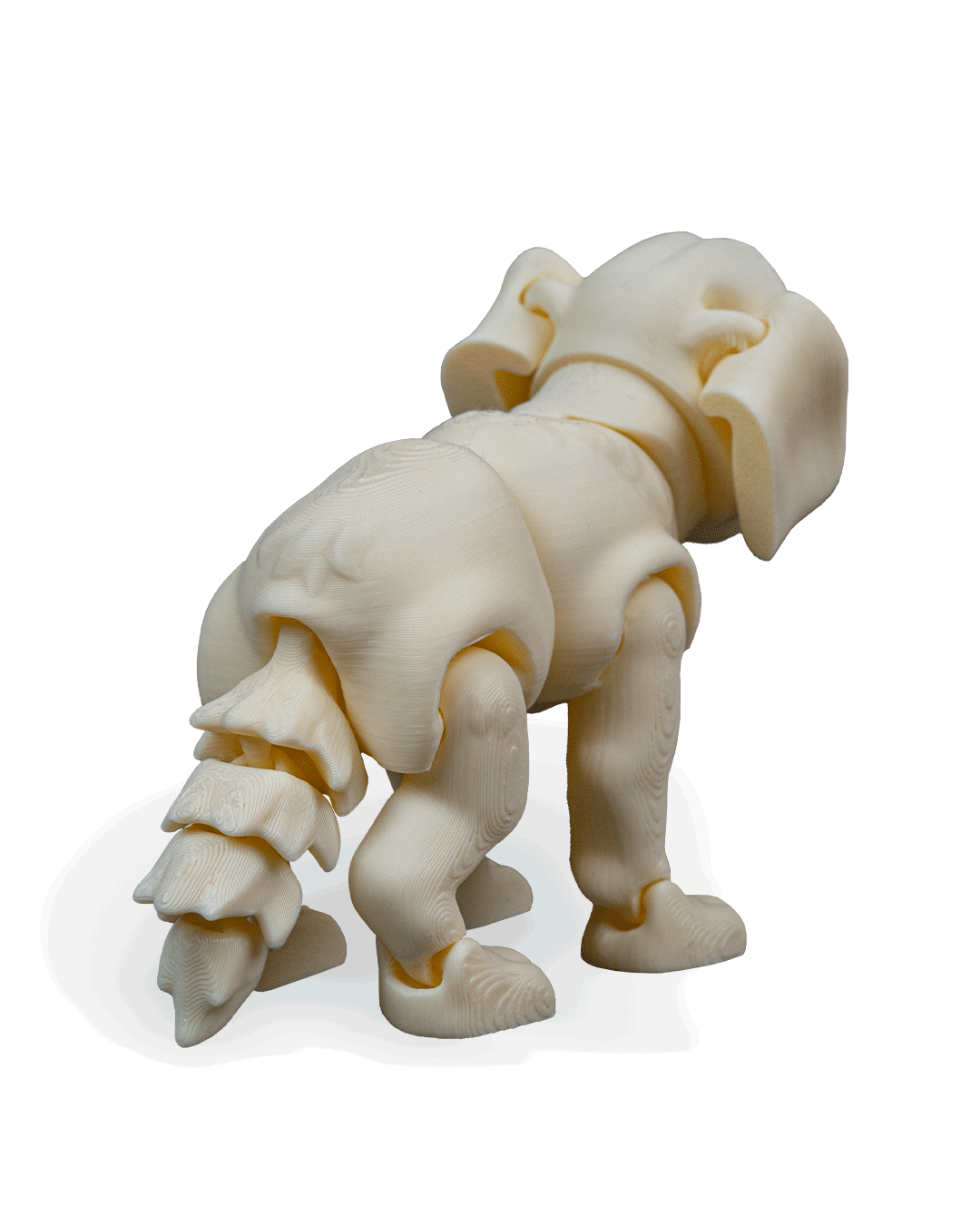 darla-the-labrador-aksesuar-08cb57.png