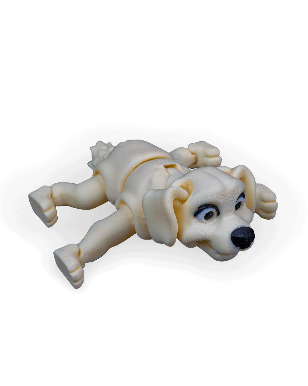 darla-the-labrador-aksesuar-3c-897.png