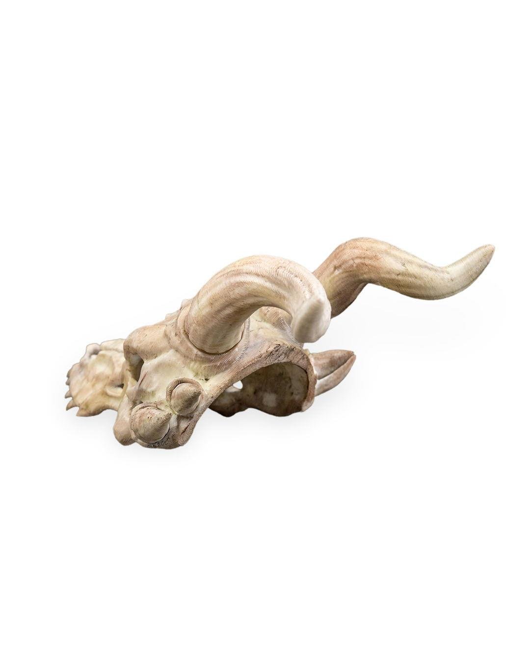 esnek-timsah-oyuncak-figur-5b20b0.jpg