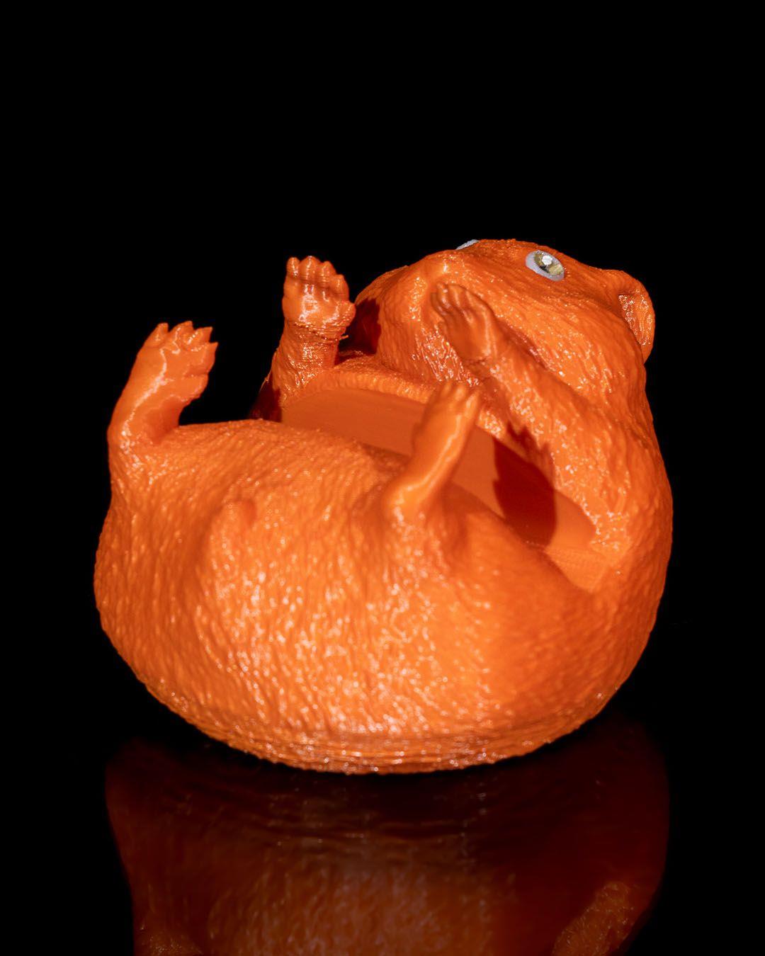 fomo-hamster-figuru-ccdcb7.jpg