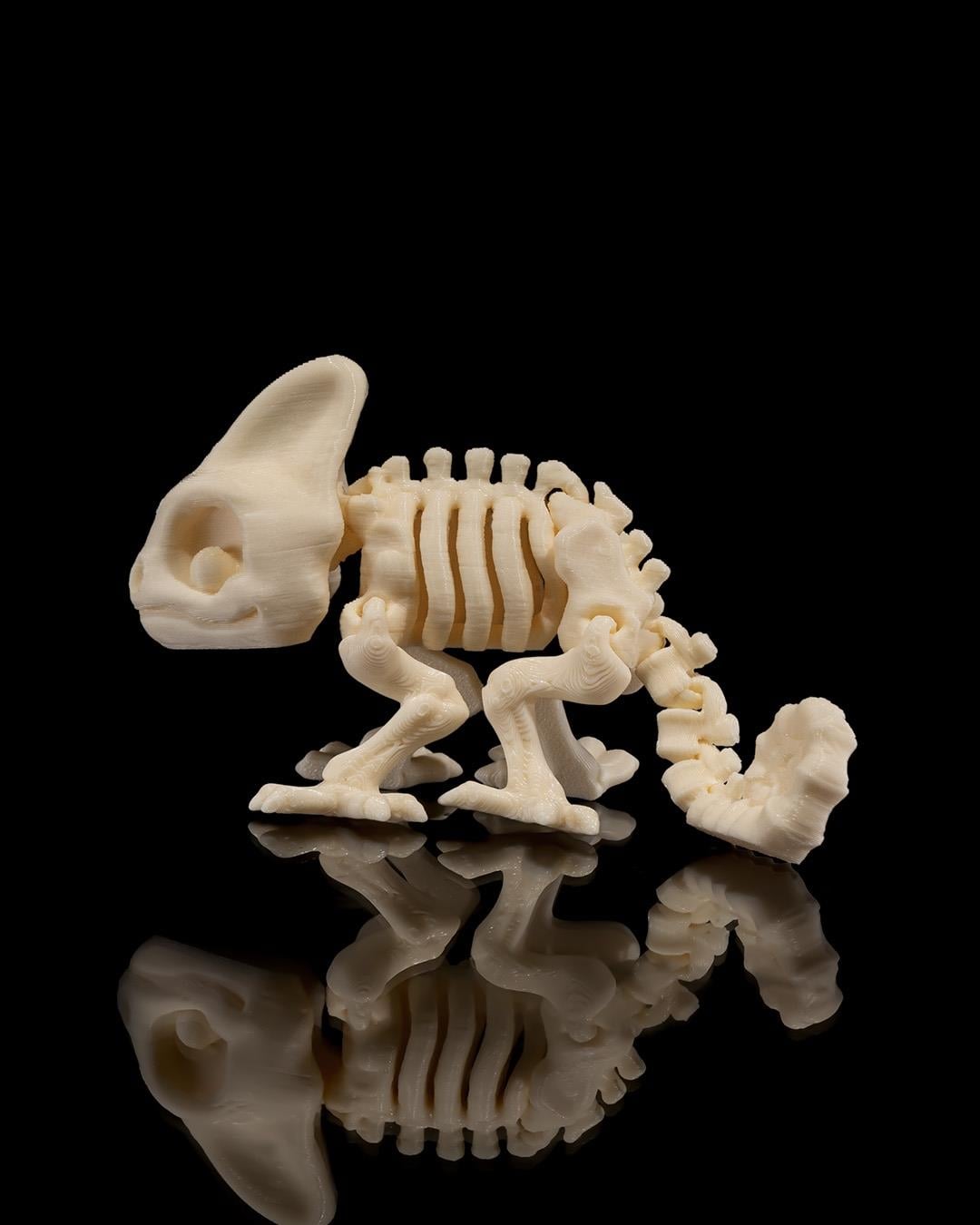Hareketli Bukalemun İskeleti Oyuncak