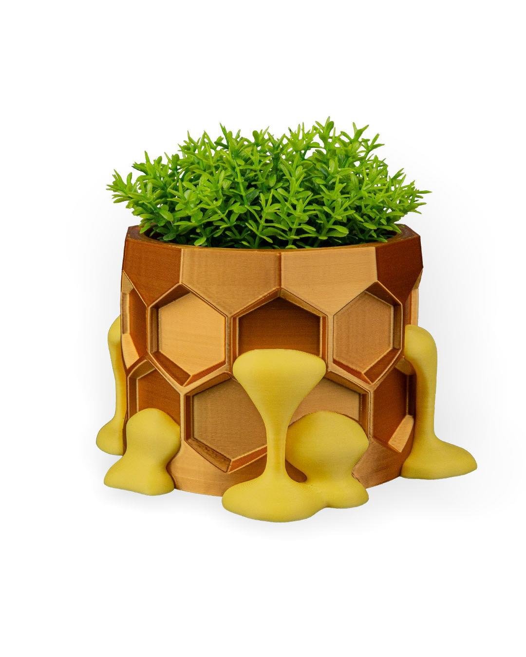 hive-minded-planter-figuru-75e761.jpg