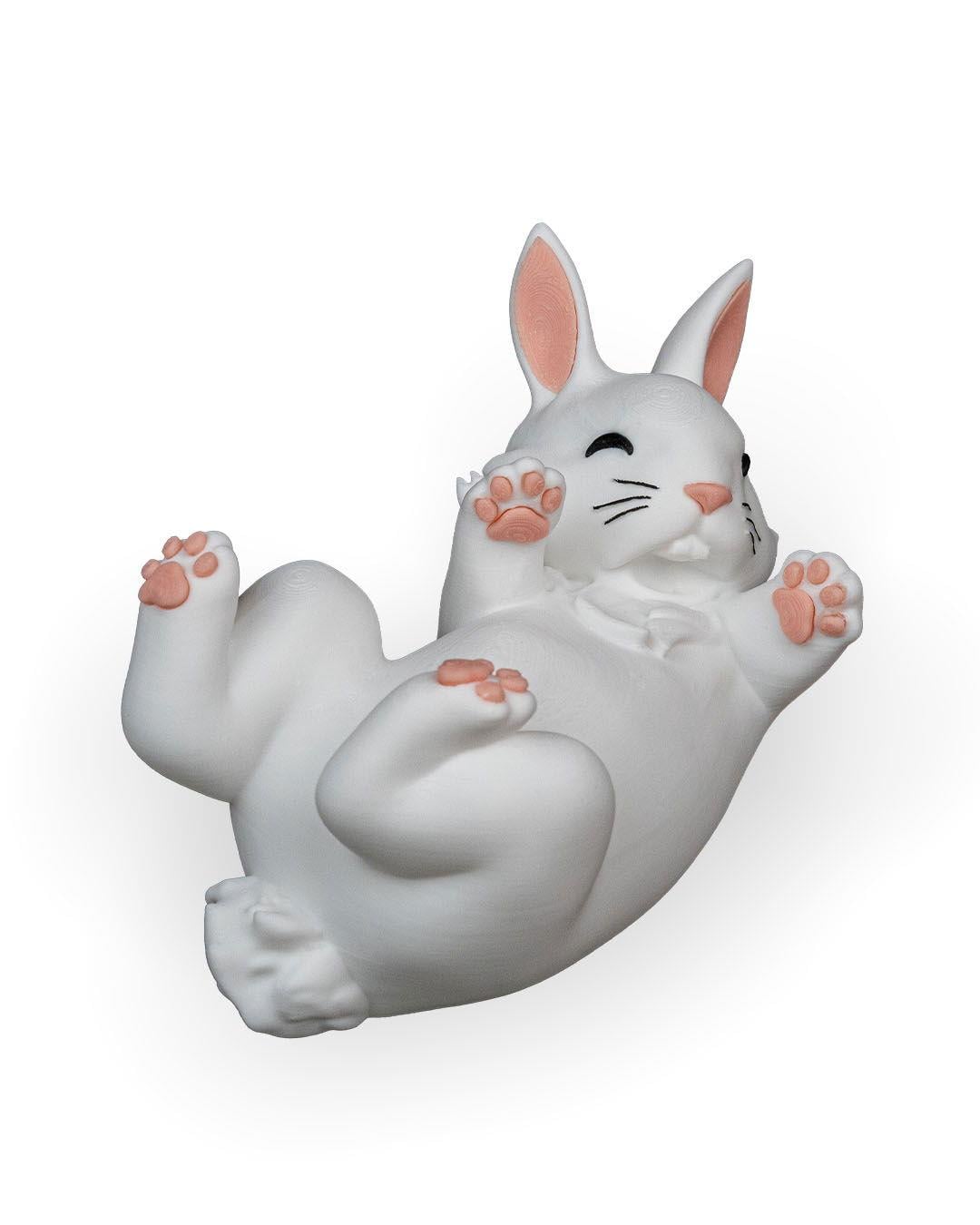 hungry-rabbit-aksesuar-1b-ea8.jpg