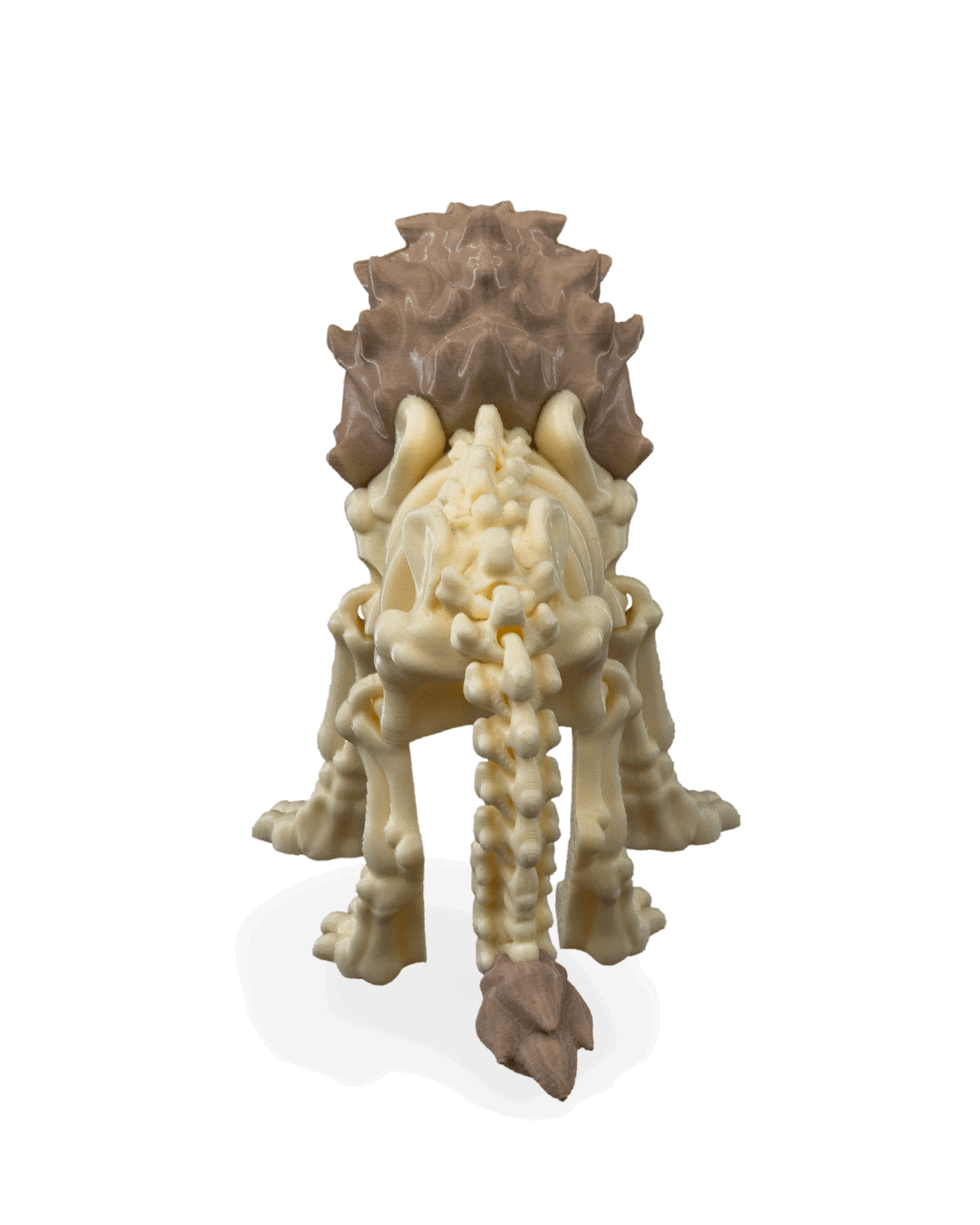 iskelet-aslan-figuru-7-033b.png
