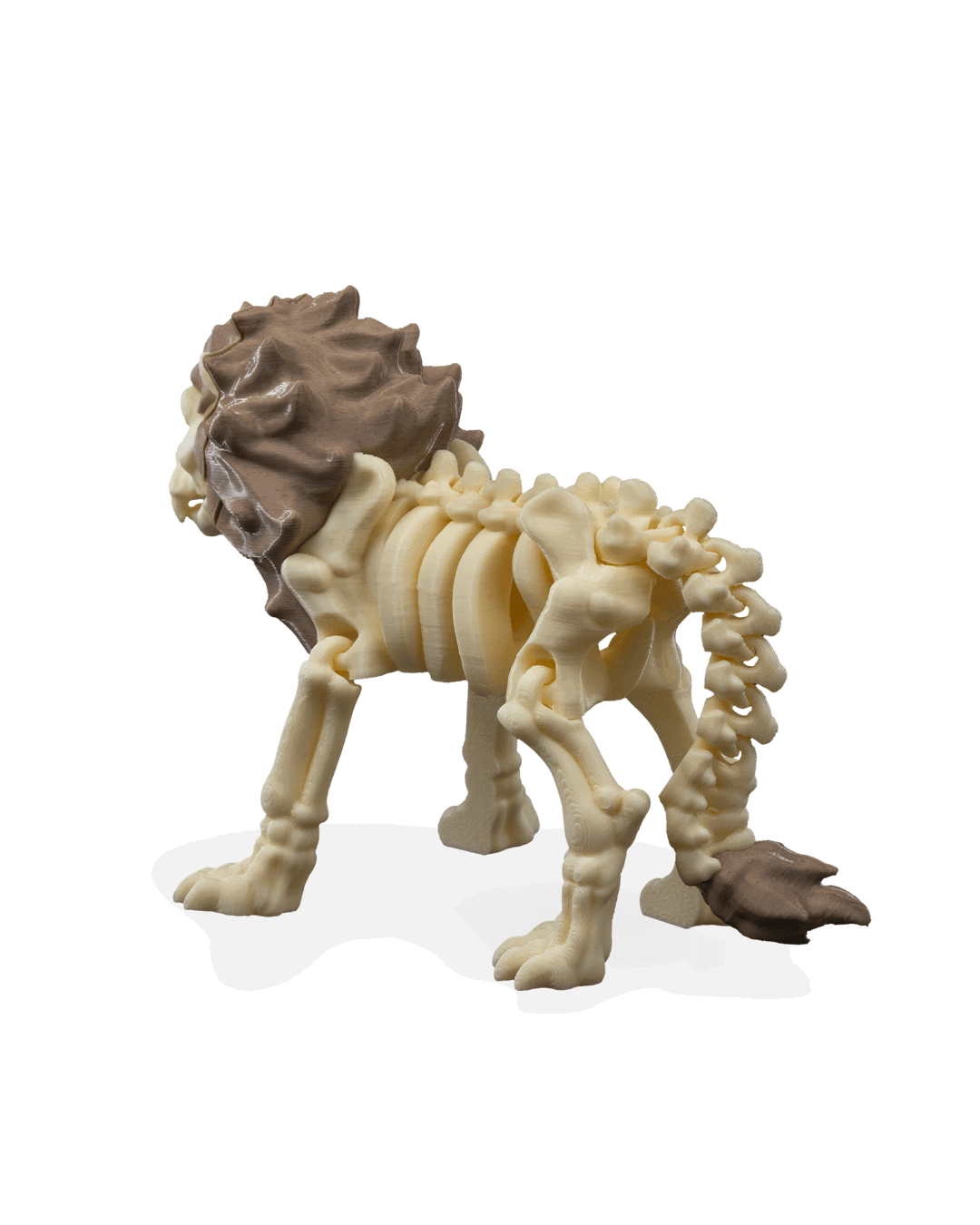 iskelet-aslan-figuru-7ae-b9.png