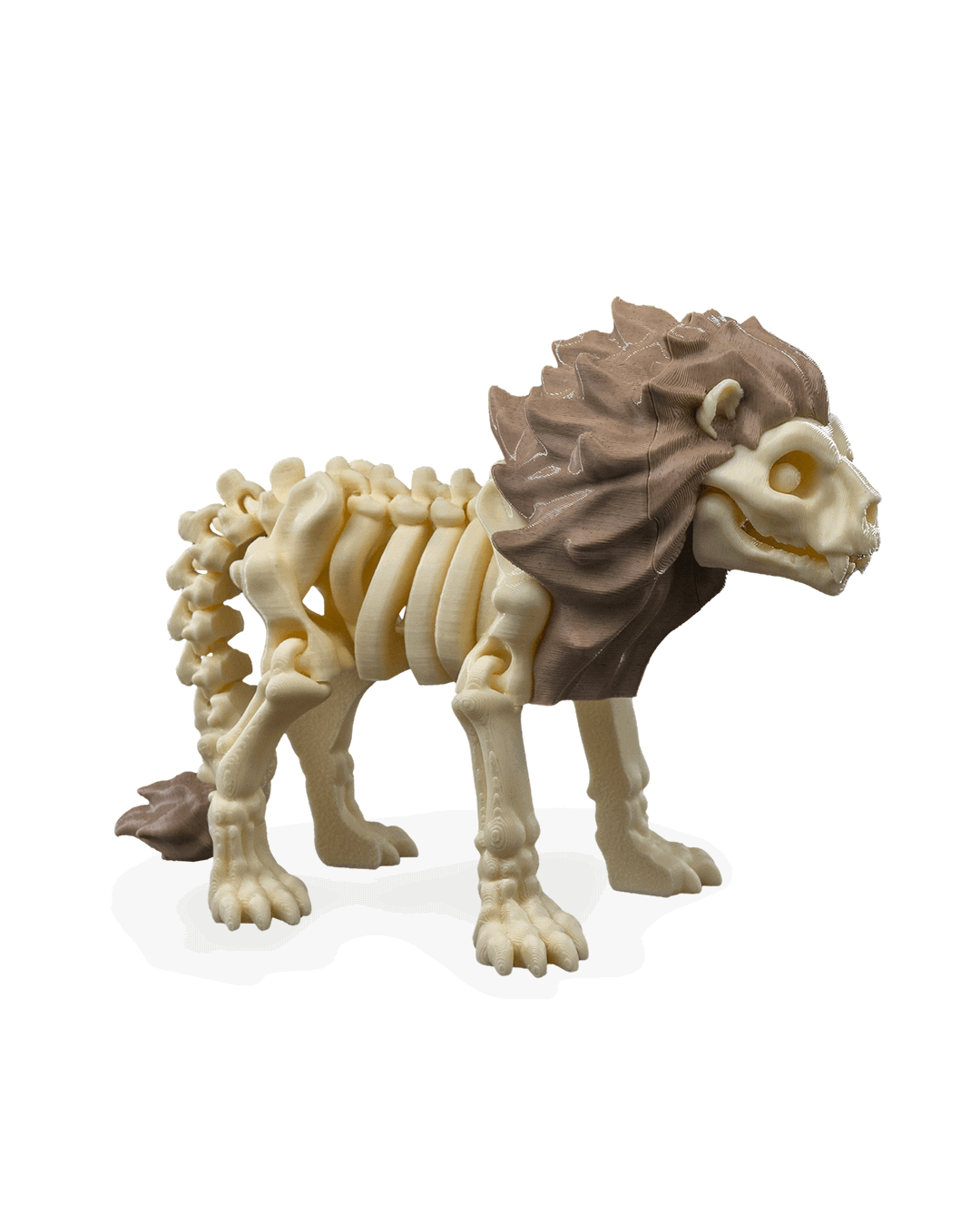 iskelet-aslan-figuru-ab86-5.png