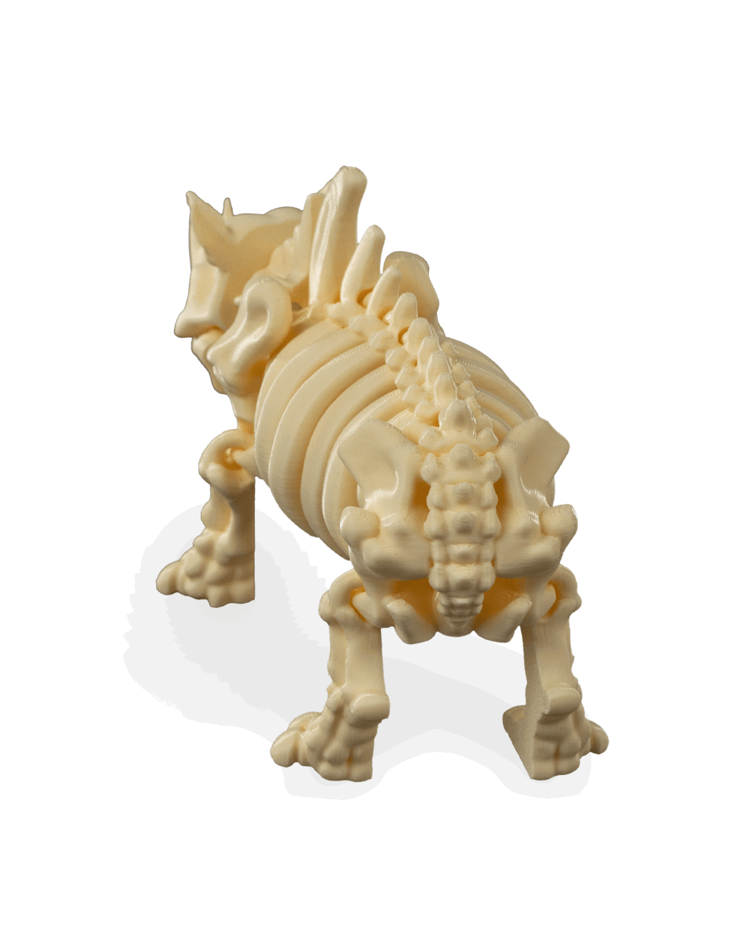 iskelet-gergedan-figuru-38a8-4.png