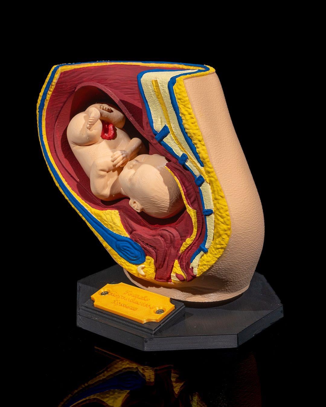 kadin-ureme-sistemi-modeli-6e02-4.jpg