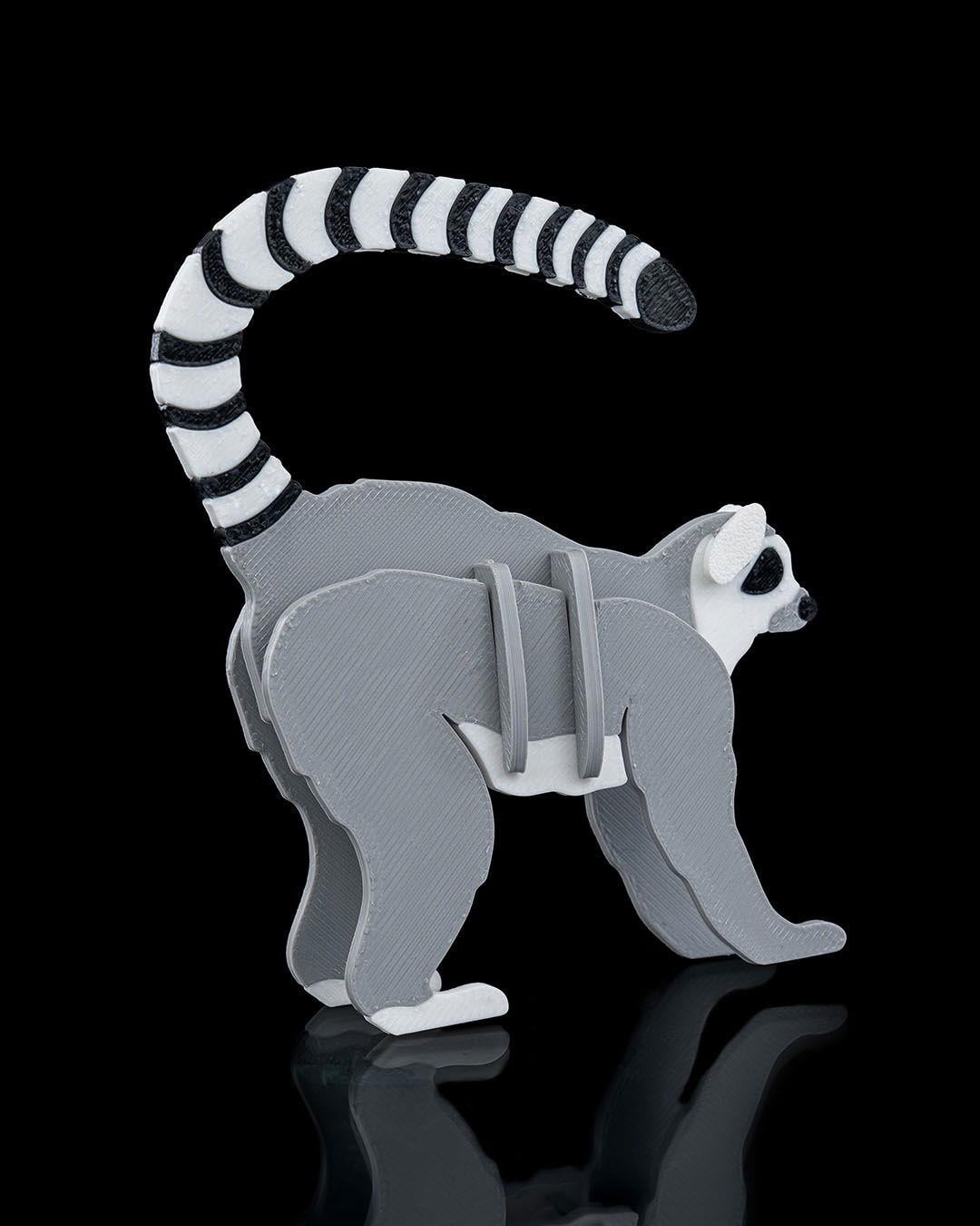 lemur-kit-kart--59b9-.jpg
