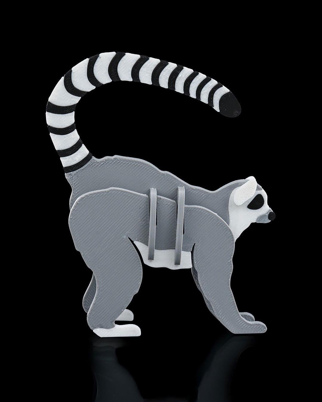lemur-kit-kart-0f-0ba.jpg