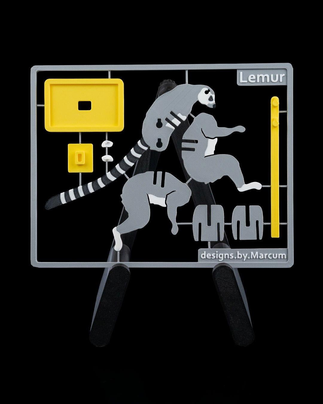 lemur-kit-kart-4737-8.jpg