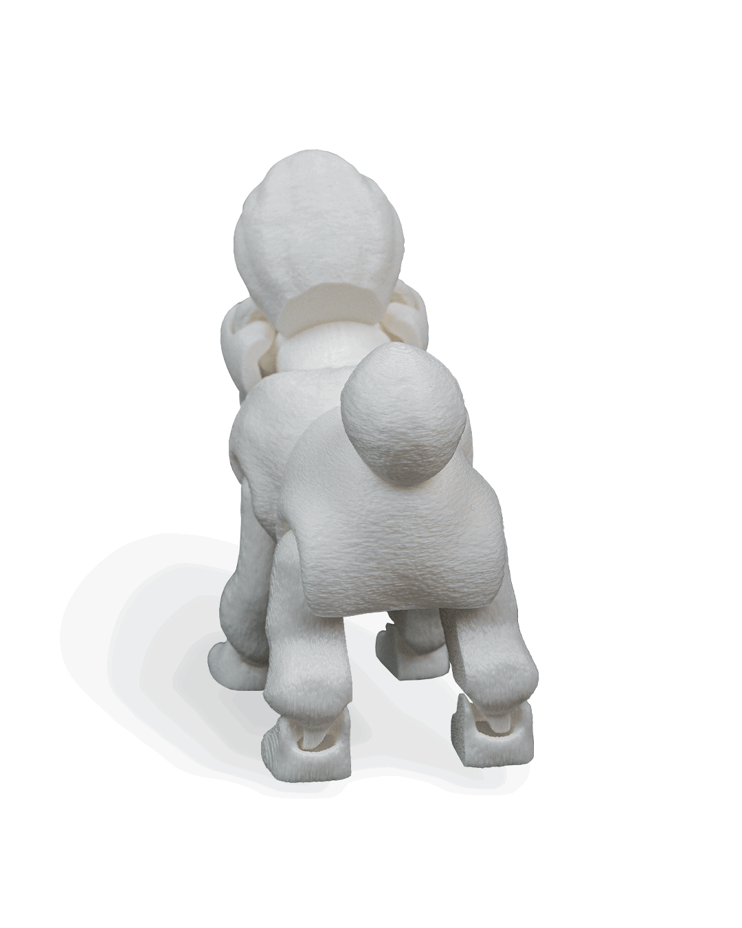 lizzie-the-poodle-aksesuar-bc3f39.png