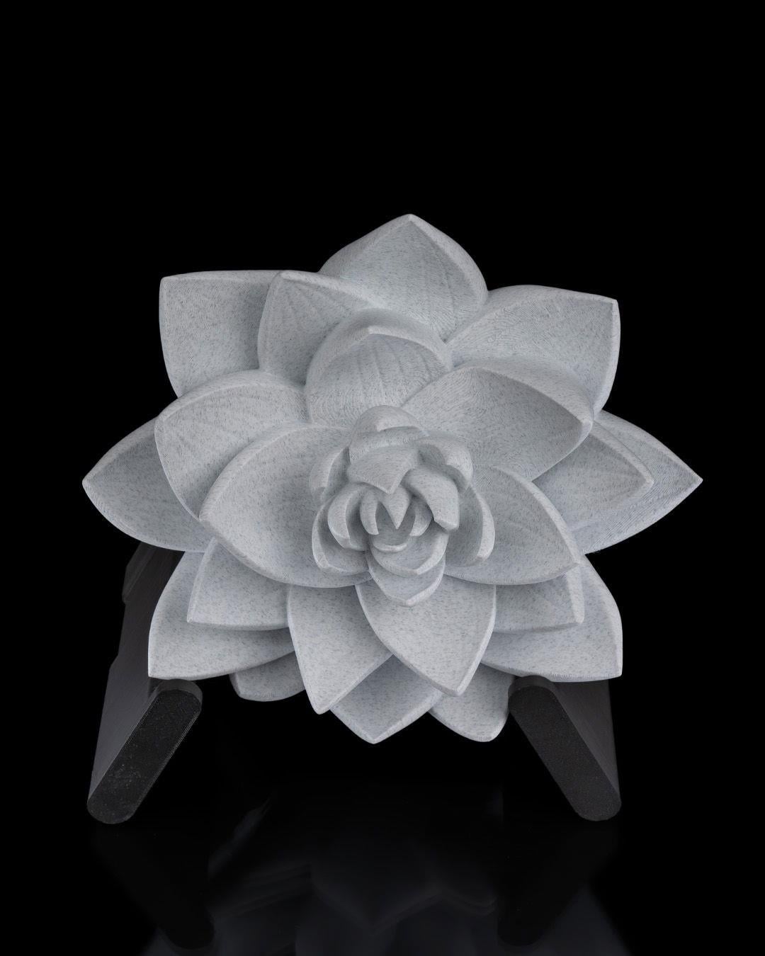 lotus-cicegi-duvar-lambasi--7135-.jpg
