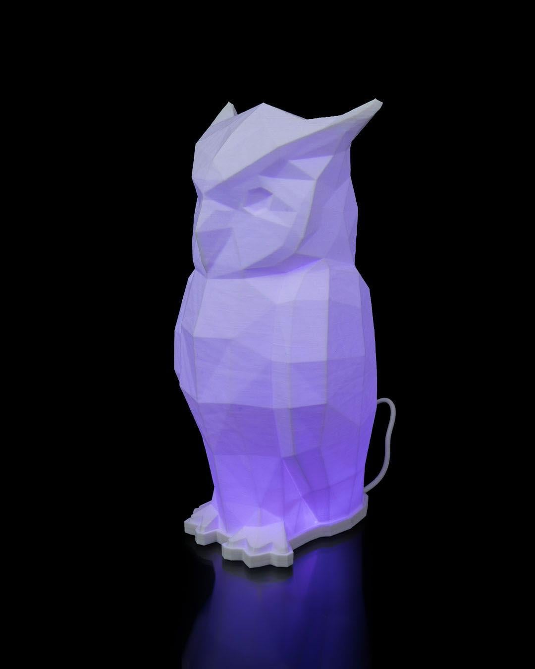 low-poly-baykus-masa-lambasi-5-5a1e.jpg