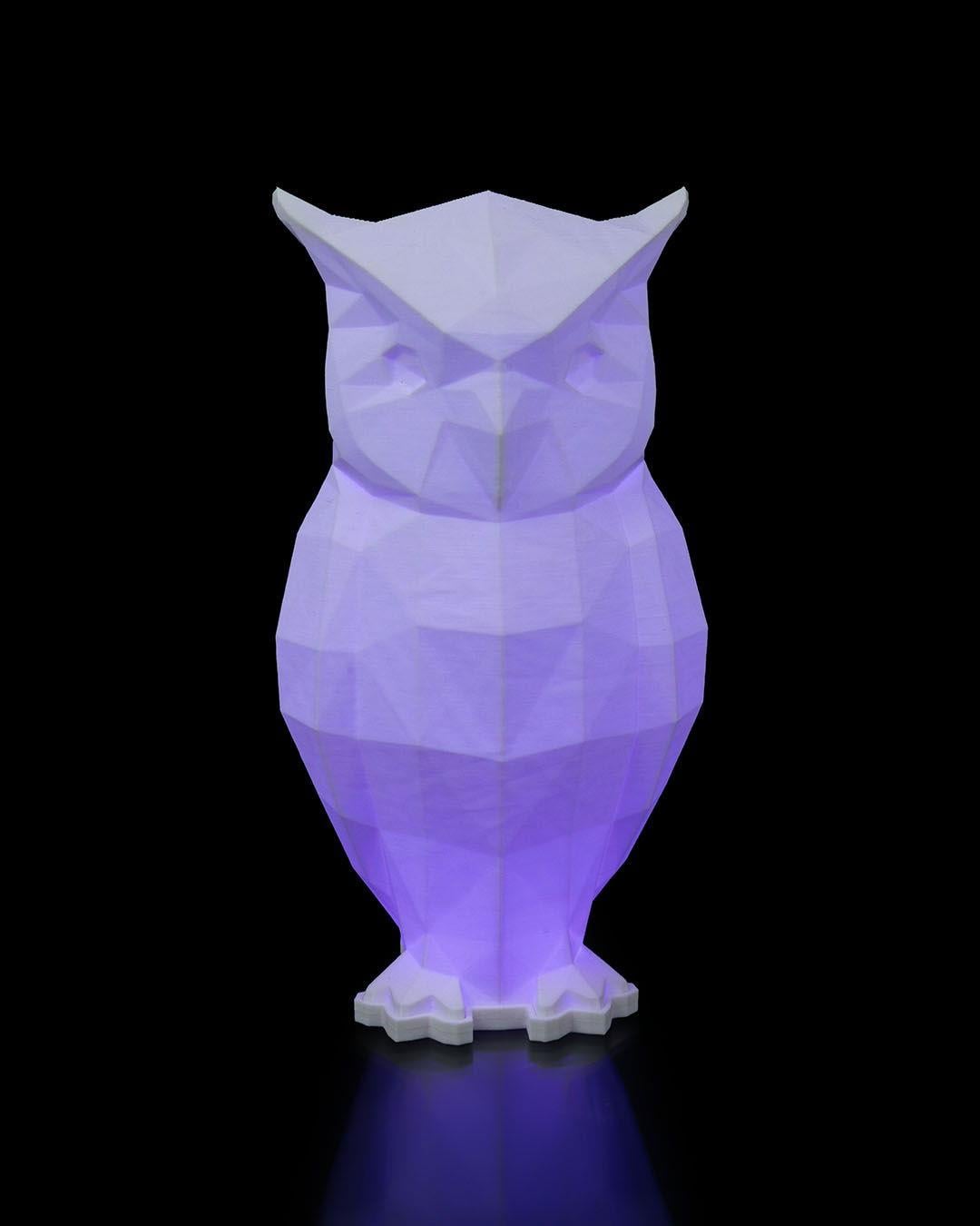 low-poly-baykus-masa-lambasi-72d1-d.jpg