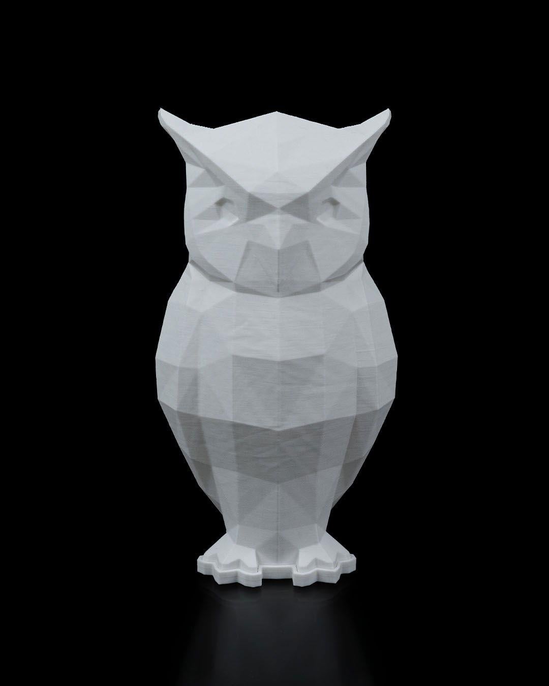 low-poly-baykus-masa-lambasi-e-5f8e.jpg