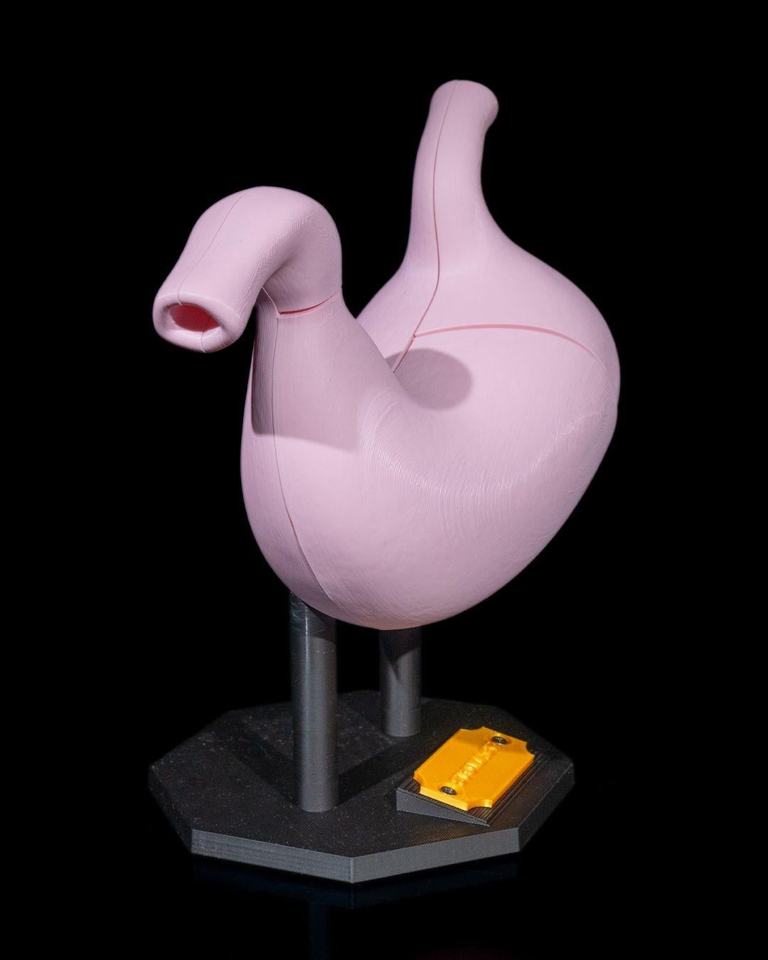 mide-anatomik-model--9c35-.jpg