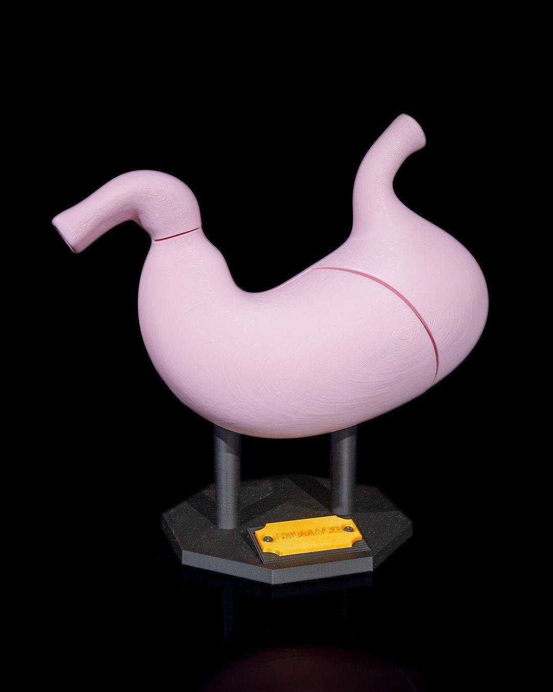 mide-anatomik-model-40cc-8.jpg