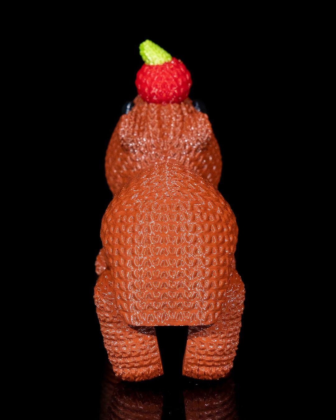 orgu-kapibara-dekoru-4e6e17.jpg