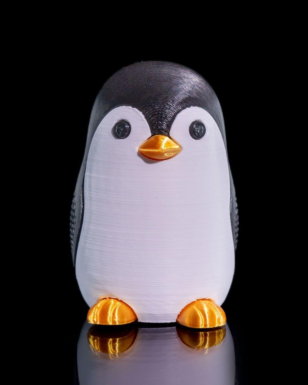 penguen-taki-kutusu-efa925.jpg